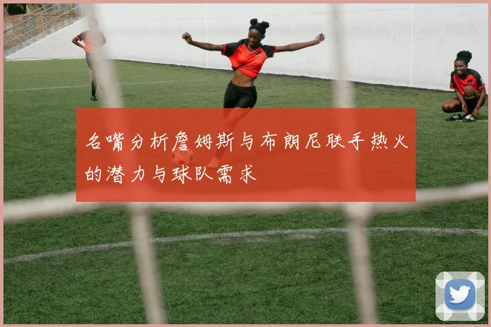 名嘴分析詹姆斯与布朗尼联手热火的潜力与球队需求